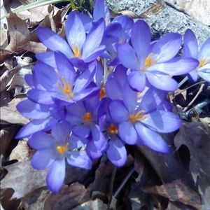 Meet your Posher, Jacqueline